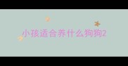 小孩适合养什么狗狗