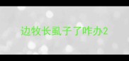 边牧长虱子了咋办
