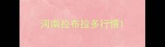 河南拉布拉多行情
