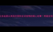 拉布拉多起源从英国庄园到全球宠物的暖心故事附超全饲养指南