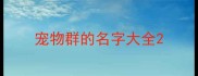 宠物群的名字大全