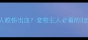 拉布拉多突然攻击人咬伤出血宠物主人必看的3步急救法与预防措施