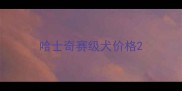 哈士奇赛级犬价格