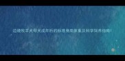 边境牧羊犬母犬成年后的标准身高体重及科学饲养指南