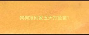 狗狗接回家五天打疫苗