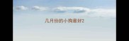 几月份的小狗最好