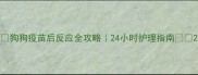 狗狗疫苗后反应全攻略24小时护理指南