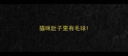 猫咪肚子里有毛球