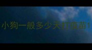 小狗一般多少天打疫苗