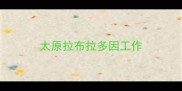 太原拉布拉多因工作