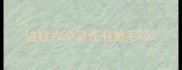 边牧六个月还有胎毛吗