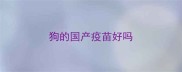 狗的国产疫苗好吗