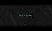 两个月的猫不拉屎