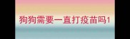 狗狗需要一直打疫苗吗