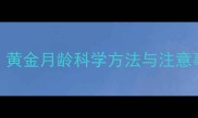2月大边牧幼犬训练全攻略黄金月龄科学方法与注意事项附21天训练计划表