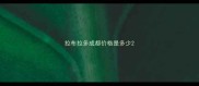 拉布拉多成都价格是多少