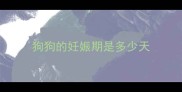 狗狗的妊娠期是多少天