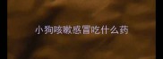 小狗咳嗽感冒吃什么药