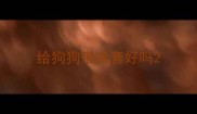 给狗狗带嘴套好吗