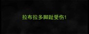 拉布拉多脚趾受伤