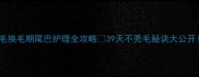 金毛换毛期尾巴护理全攻略39天不秃毛秘诀大公开