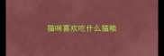 猫咪喜欢吃什么猫粮