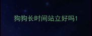 狗狗长时间站立好吗
