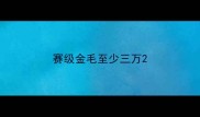 赛级金毛至少三万