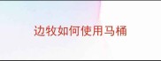 边牧如何使用马桶