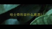 哈士奇形容什么意思