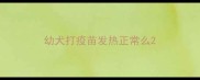 幼犬打疫苗发热正常么