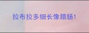 拉布拉多细长像腊肠