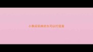 小狗买回来好久可以打疫苗
