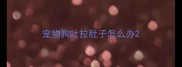 宠物狗吐拉肚子怎么办