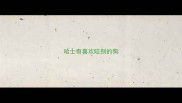 哈士奇喜欢咬别的狗