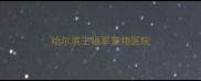 哈尔滨王福军宠物医院
