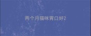 两个月猫咪胃口好