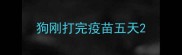 狗刚打完疫苗五天