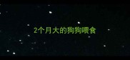 2个月大的狗狗喂食