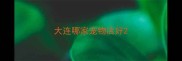 大连哪家宠物店好