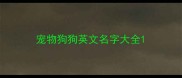 宠物狗狗英文名字大全