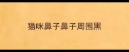 猫咪鼻子鼻子周围黑