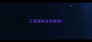 工笔猫咪染色教程