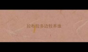 拉布拉多边牧养谁