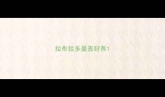 拉布拉多是否好养