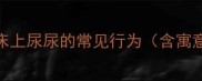 狗狗在床上尿尿的常见行为含寓意解读