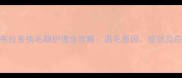 奶白拉布拉多换毛期护理全攻略退毛原因症状及应对方法