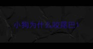 小狗为什么咬尾巴