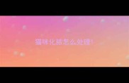 猫咪化脓怎么处理