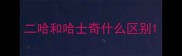 二哈和哈士奇什么区别